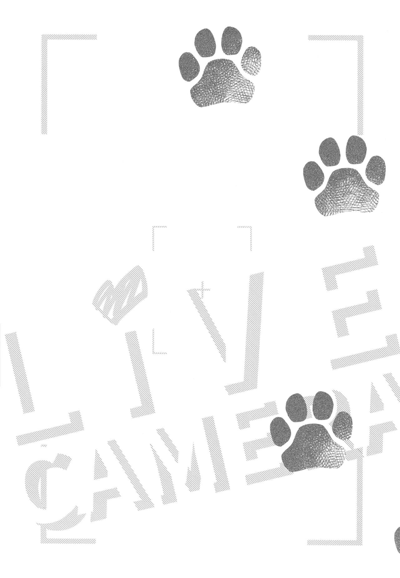 Live Camera - Page 4