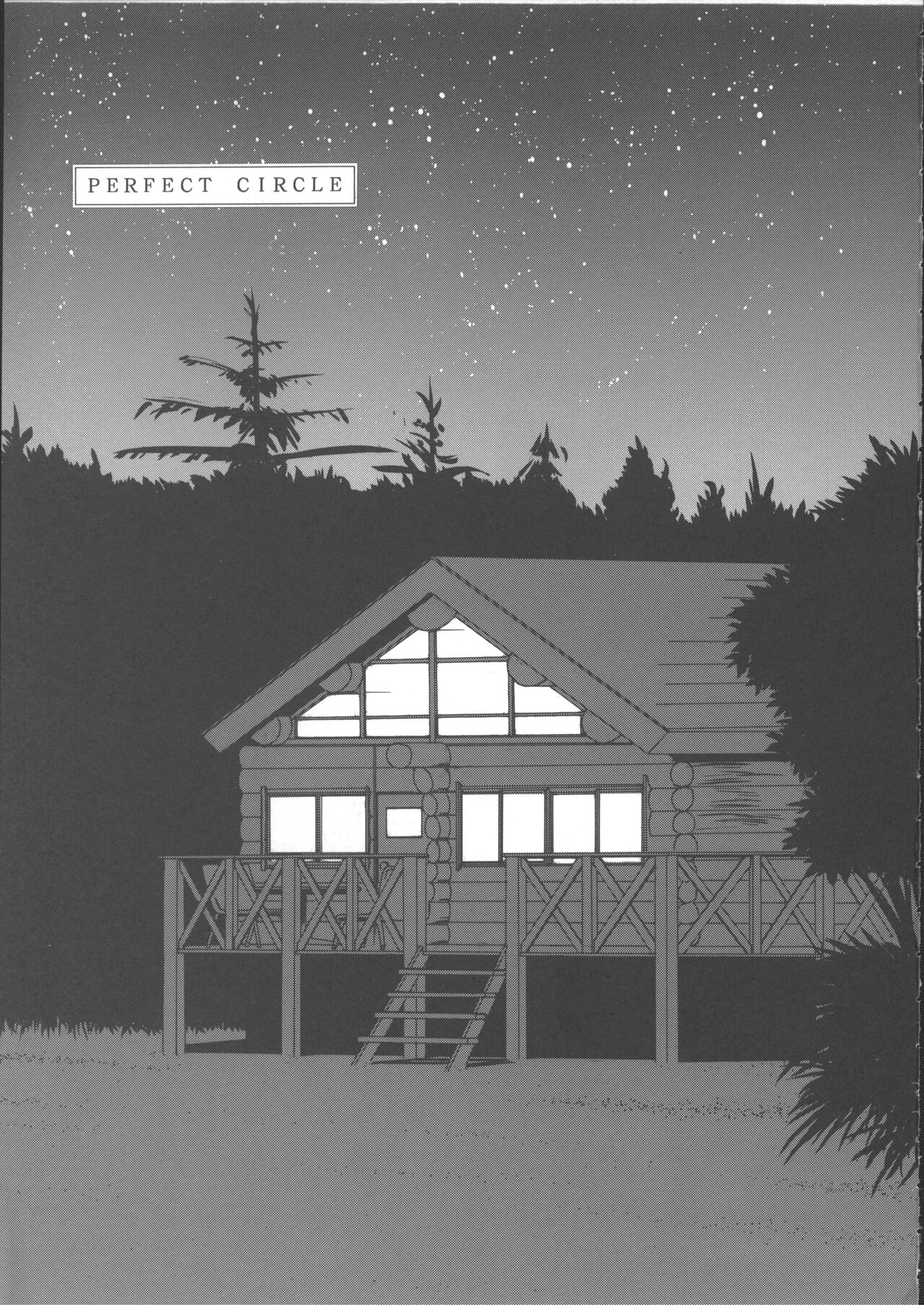 PERFECT CIRCLE - Page 4