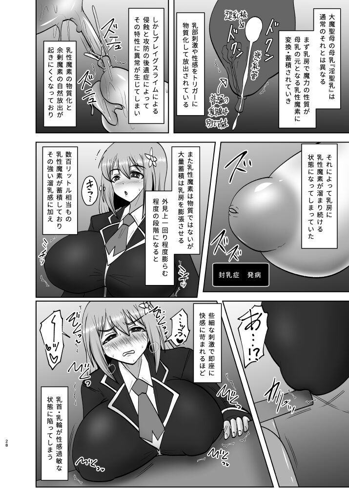 煌盾戦姫エルセイン 淫疫侵乳 - Page 27