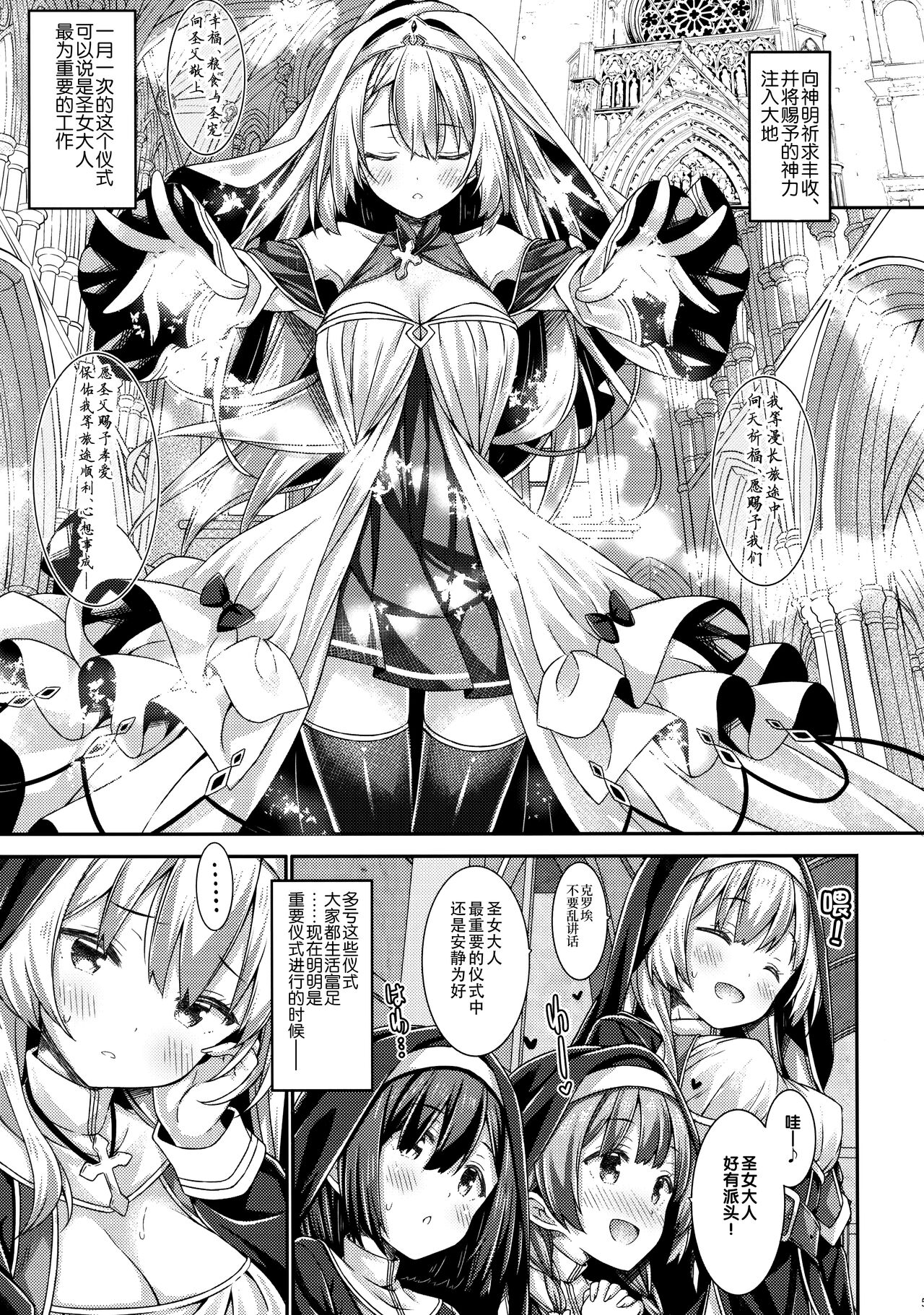 (C102) [Botugo (RYO)] Sister-san to Seijo-sama [Chinese] [白杨汉化组] - Page 4