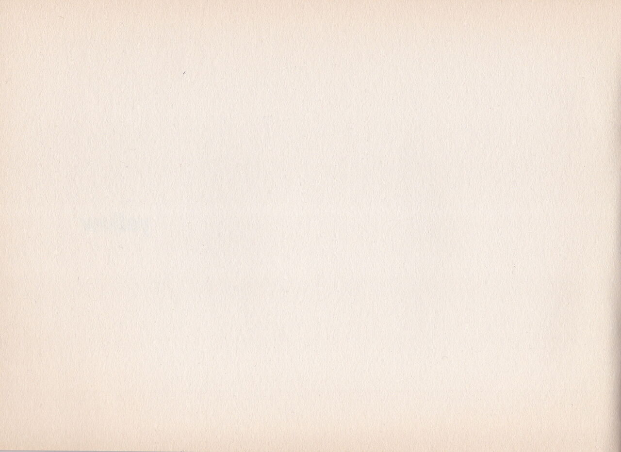 Shigeto Koyama - Yellow - Page 4