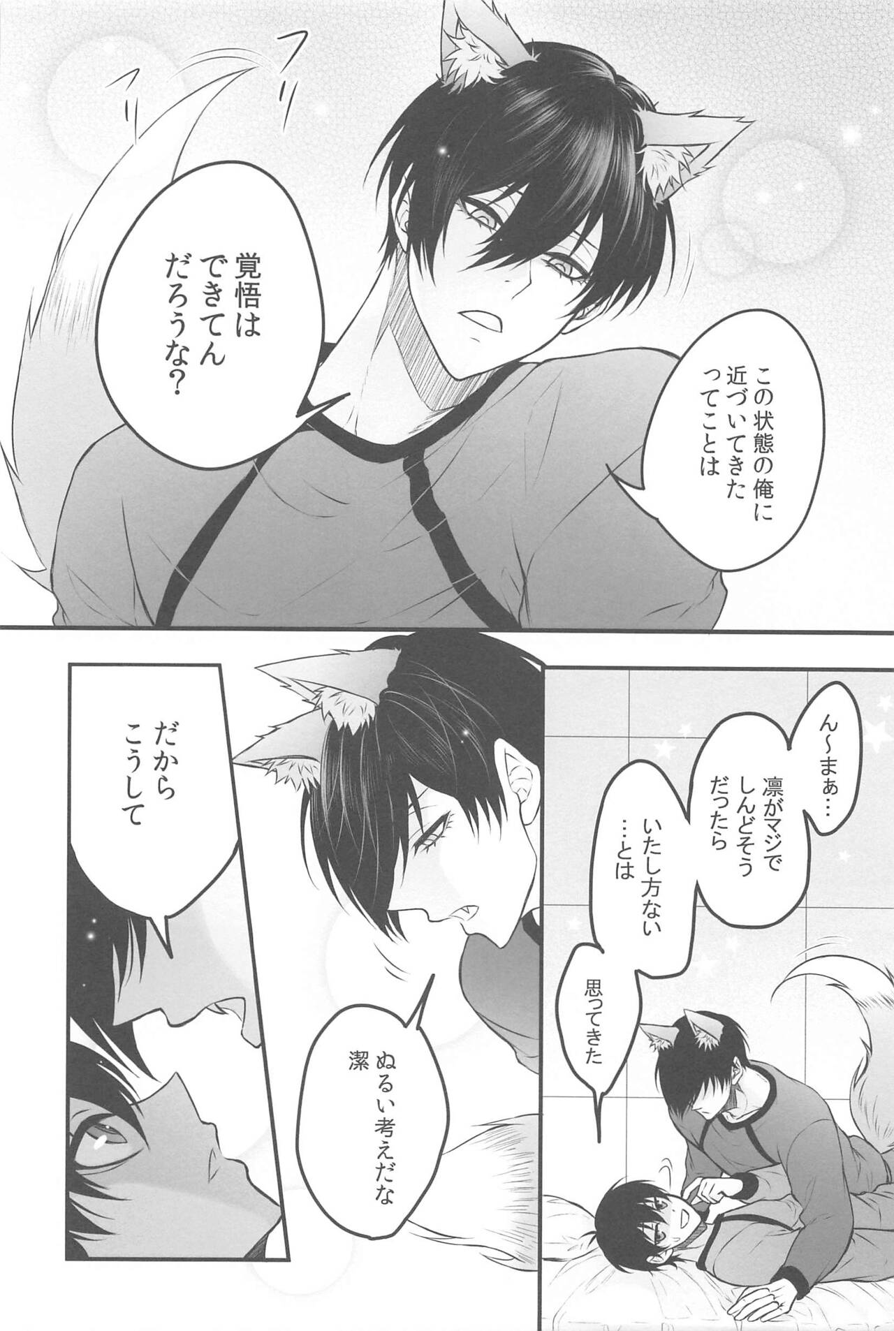 RINISA VARIETY PACK - Page 25