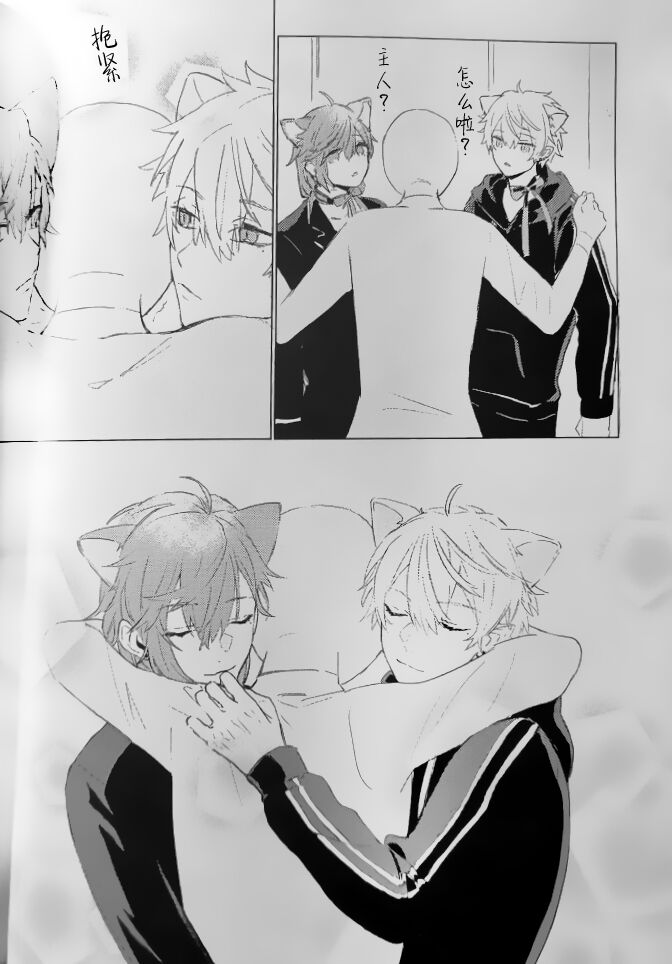 Neko no Iru Seikatsu | 有猫的生活 - Page 21