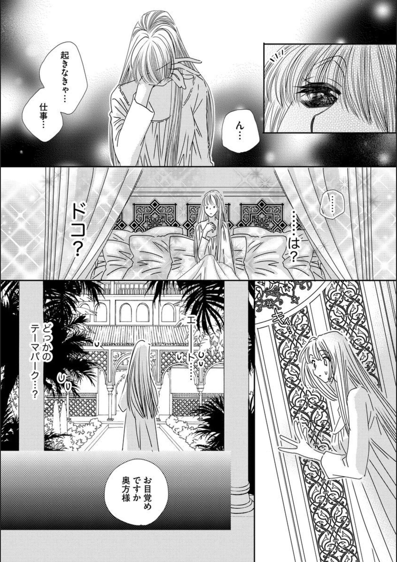 Ore-sama Seek no Hanayome Dorei 1 - Page 13