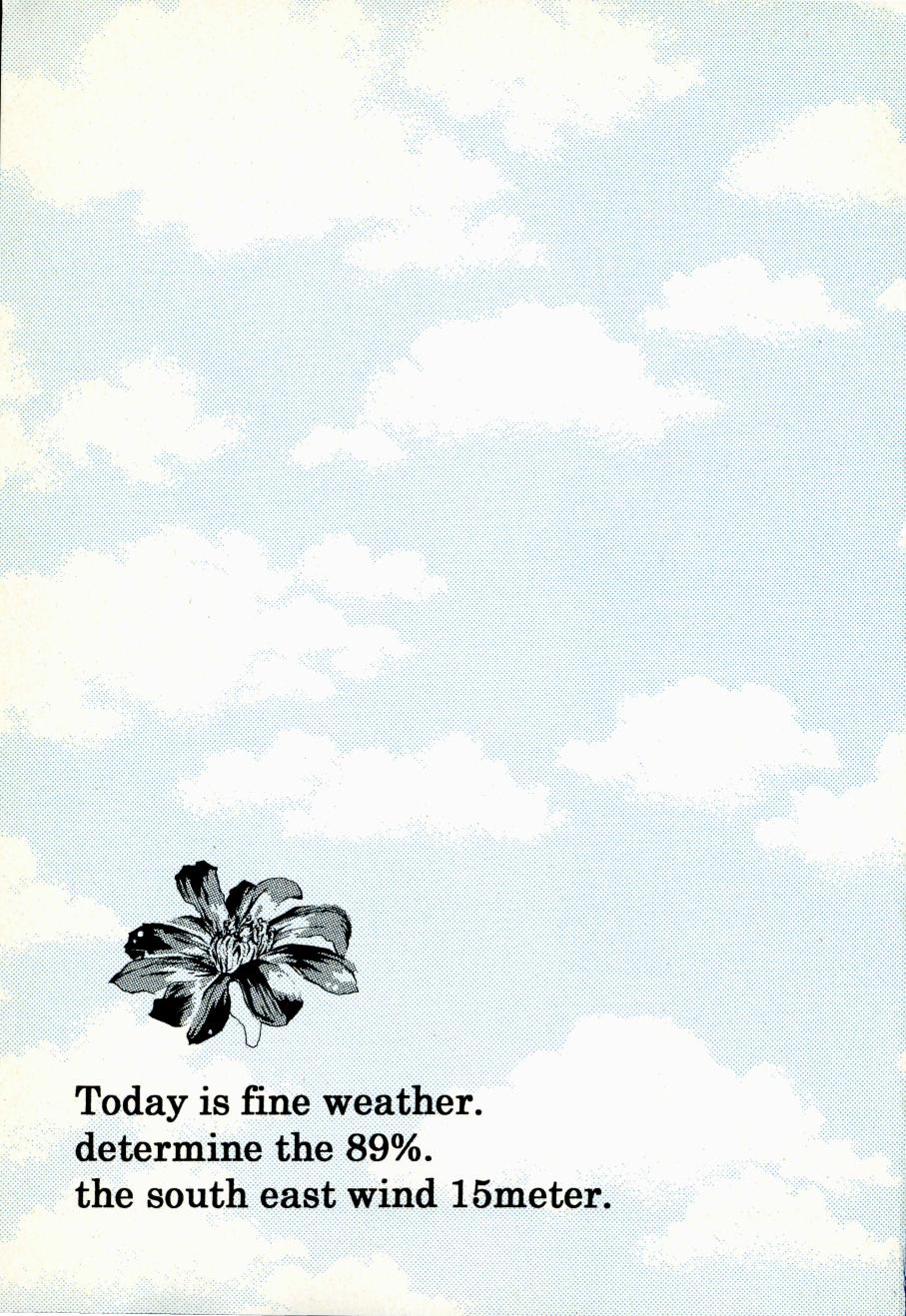 Heliotrope |日光菊 - Page 2