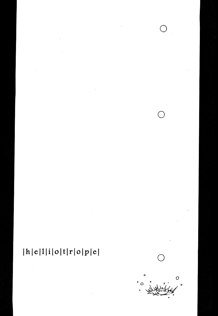 Heliotrope |日光菊 - Page 8