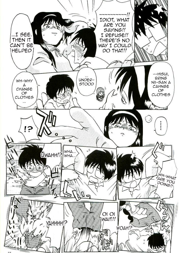 Nii-san no Shitsukekata - Page 28