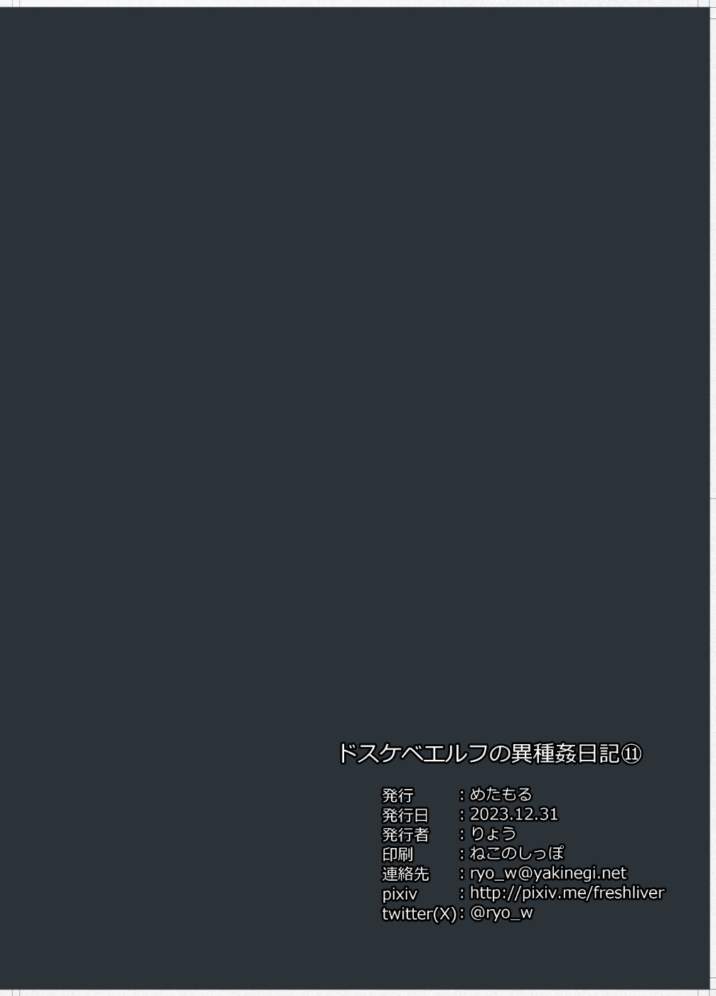 Dosukebe Elf no Ishukan Nikki 11 - Page 31