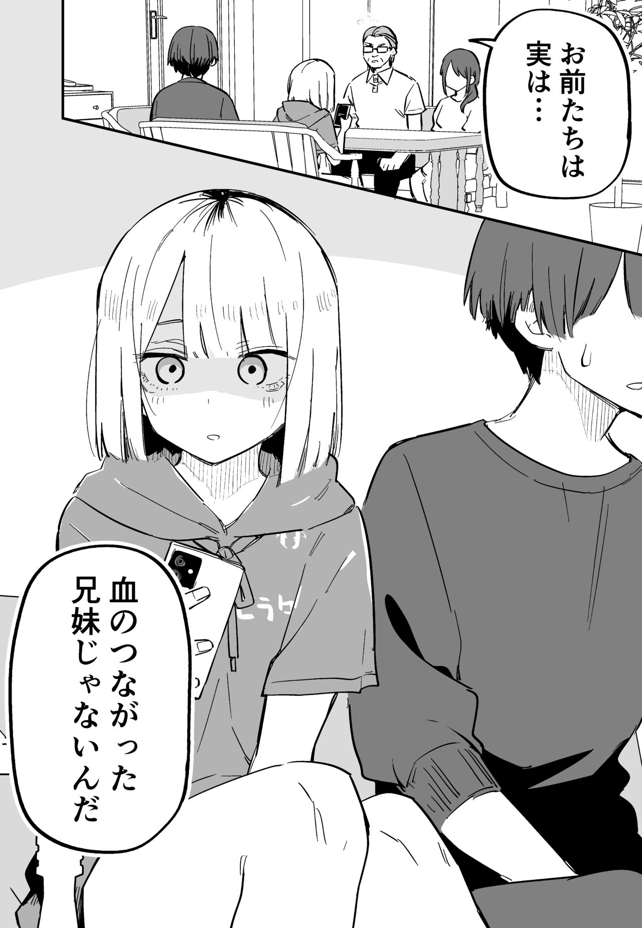 Ore no Koto ga Daikirai na Imouto ga Kowai - Page 12