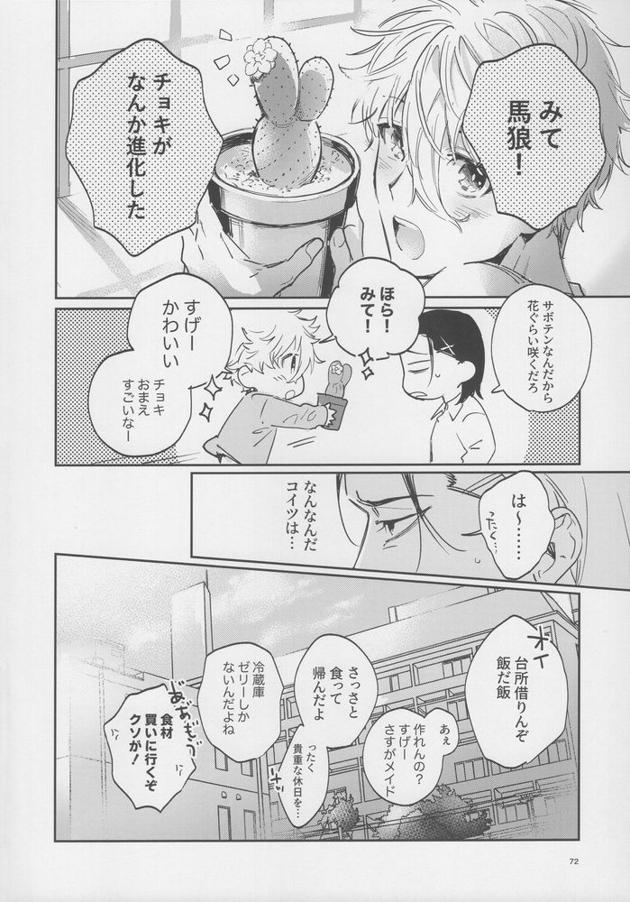 VIVID ADDITIVE MIXTURE - Page 71