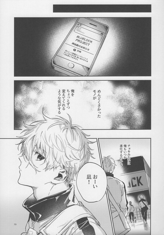 VIVID ADDITIVE MIXTURE - Page 72