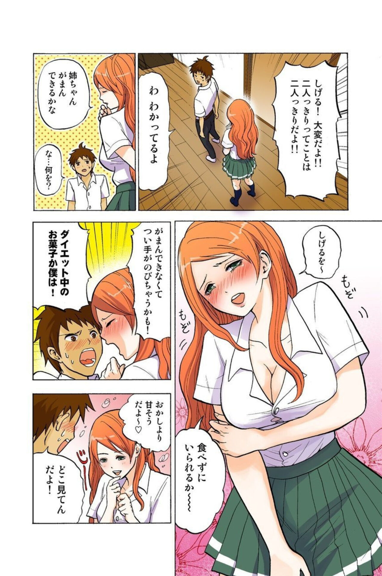 Onēchan ga wakan nai! 1 - Page 12