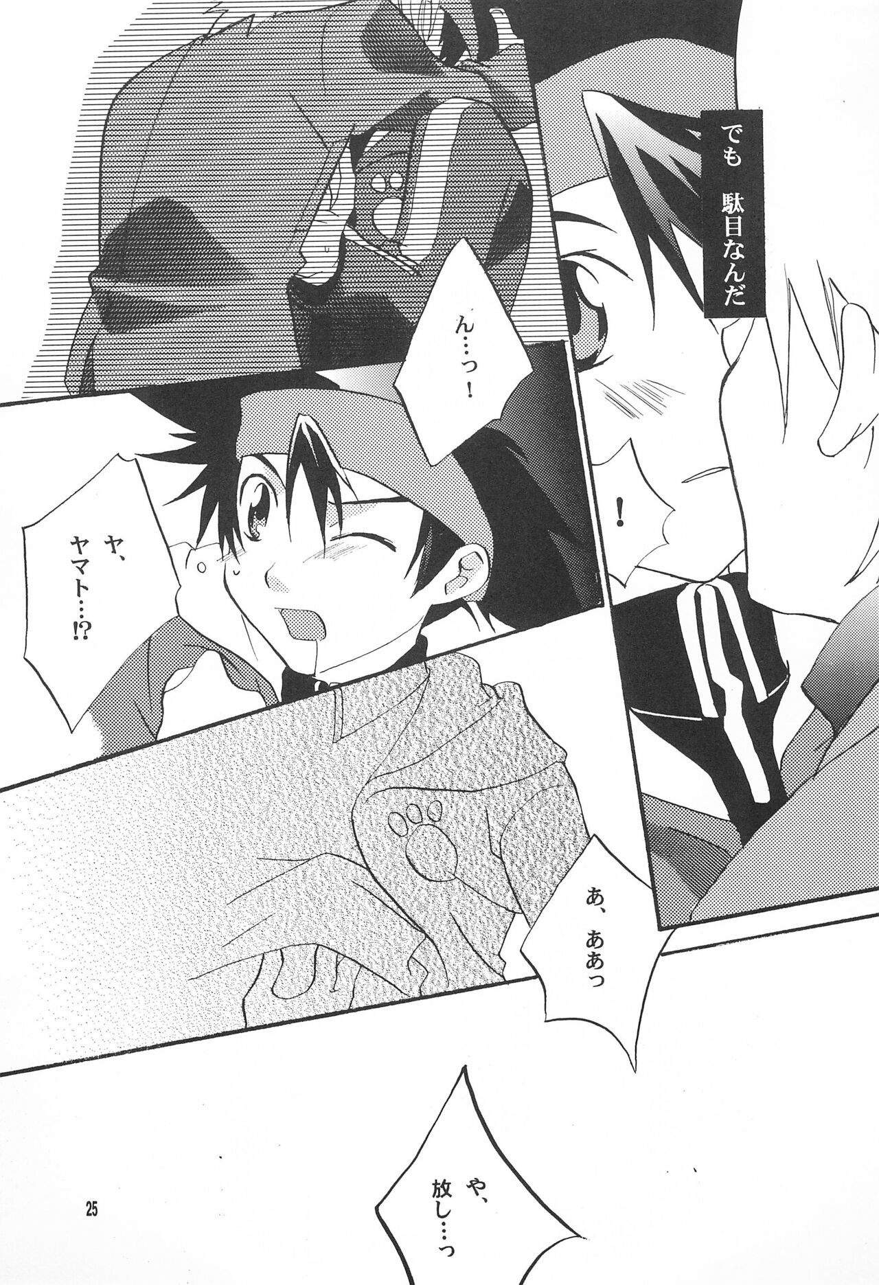 Utsukushiki Samazama no Yume - Page 27