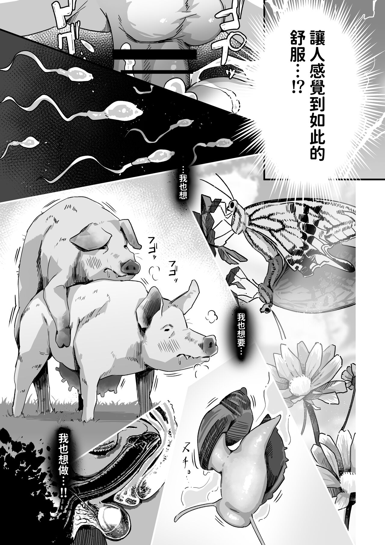 今日の授業は、地球人の繁殖活動の観察です。  中文翻譯 - Page 24