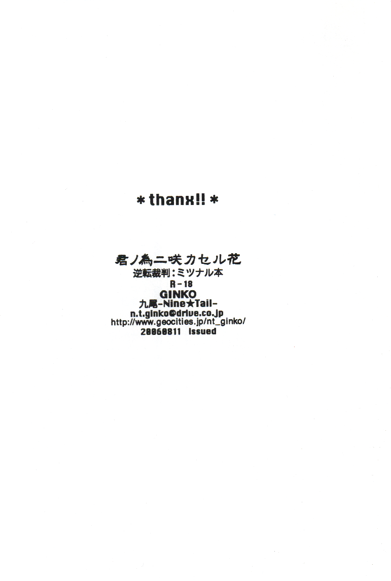 Ace Attorney DJ - Kimi no Tame - Page 21