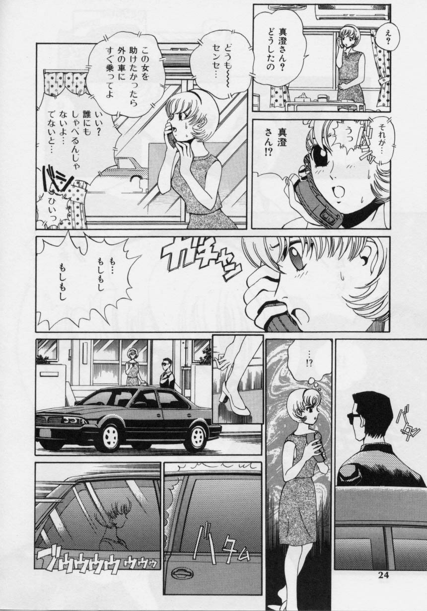Nikuyoku Shidou - Page 22