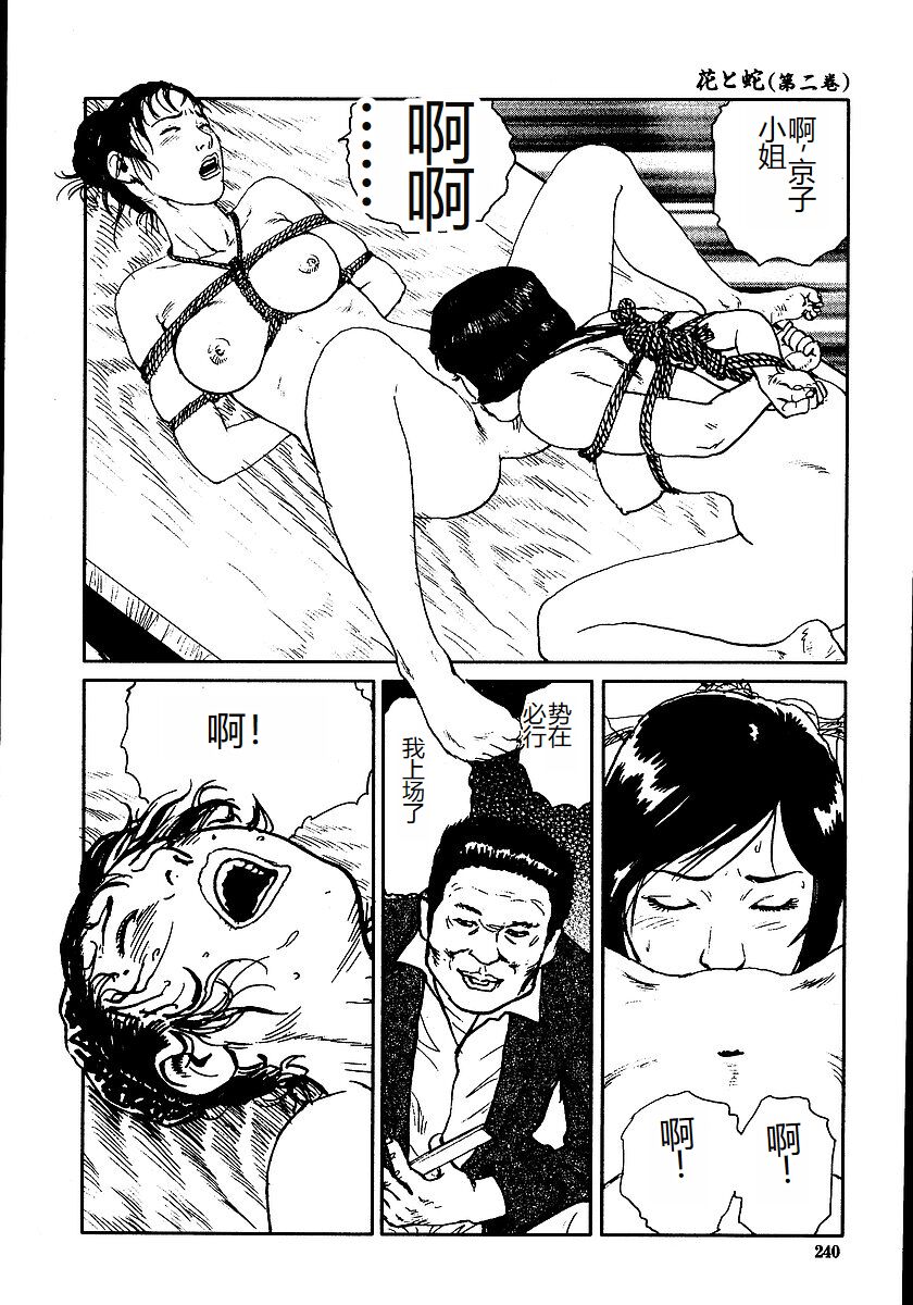Hana to Hebi 2 - Page 245