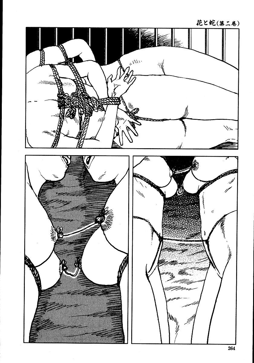 Hana to Hebi 2 - Page 269