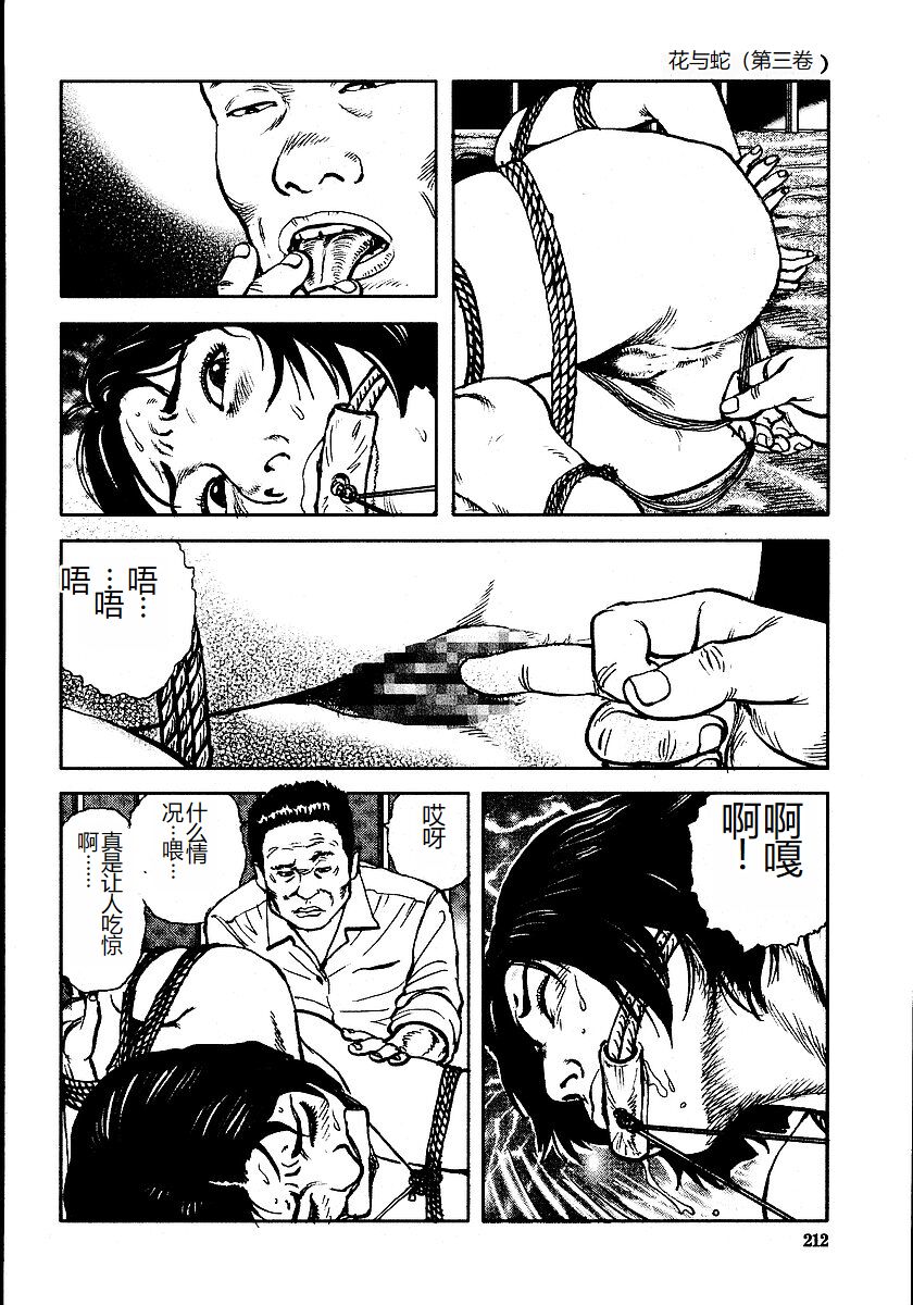Hana to Hebi 3 - Page 217