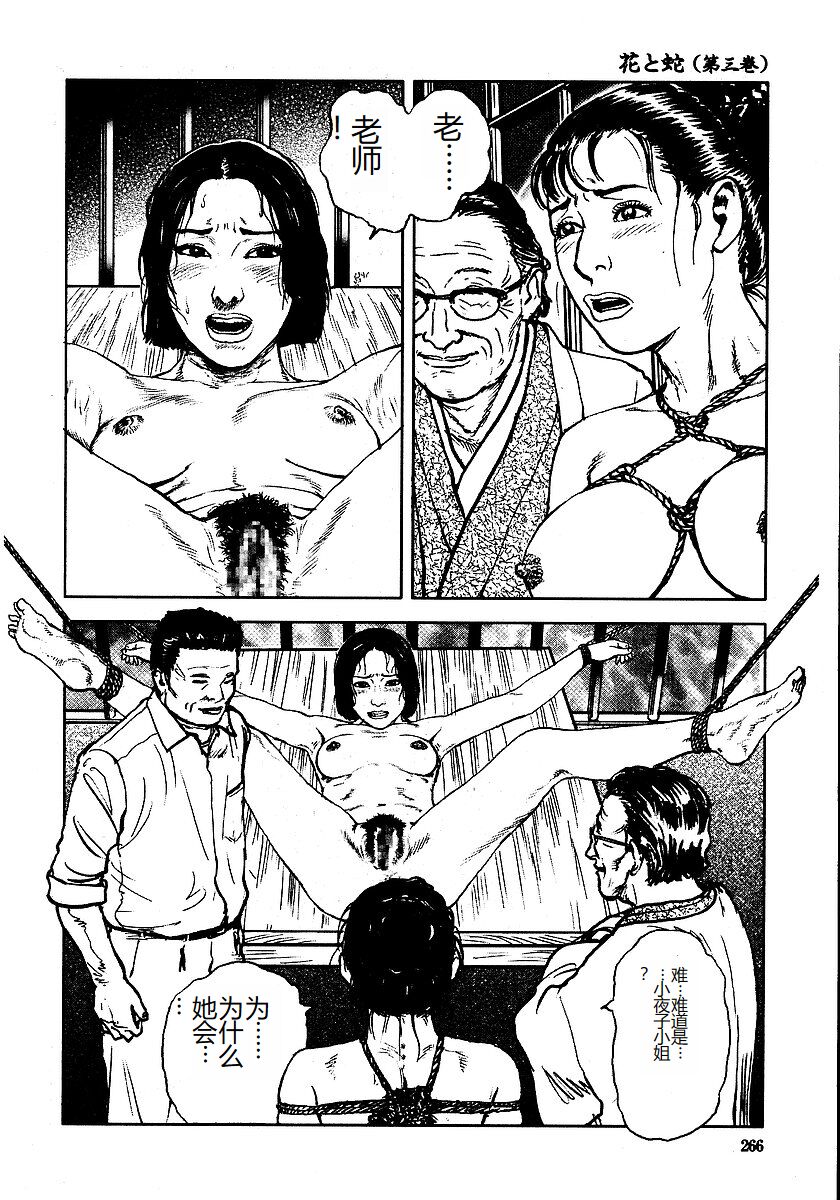Hana to Hebi 3 - Page 271