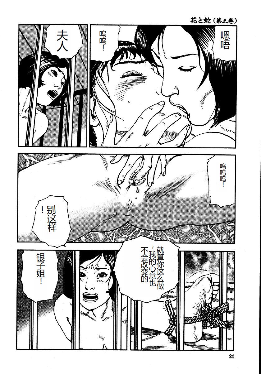 Hana to Hebi 3 - Page 29