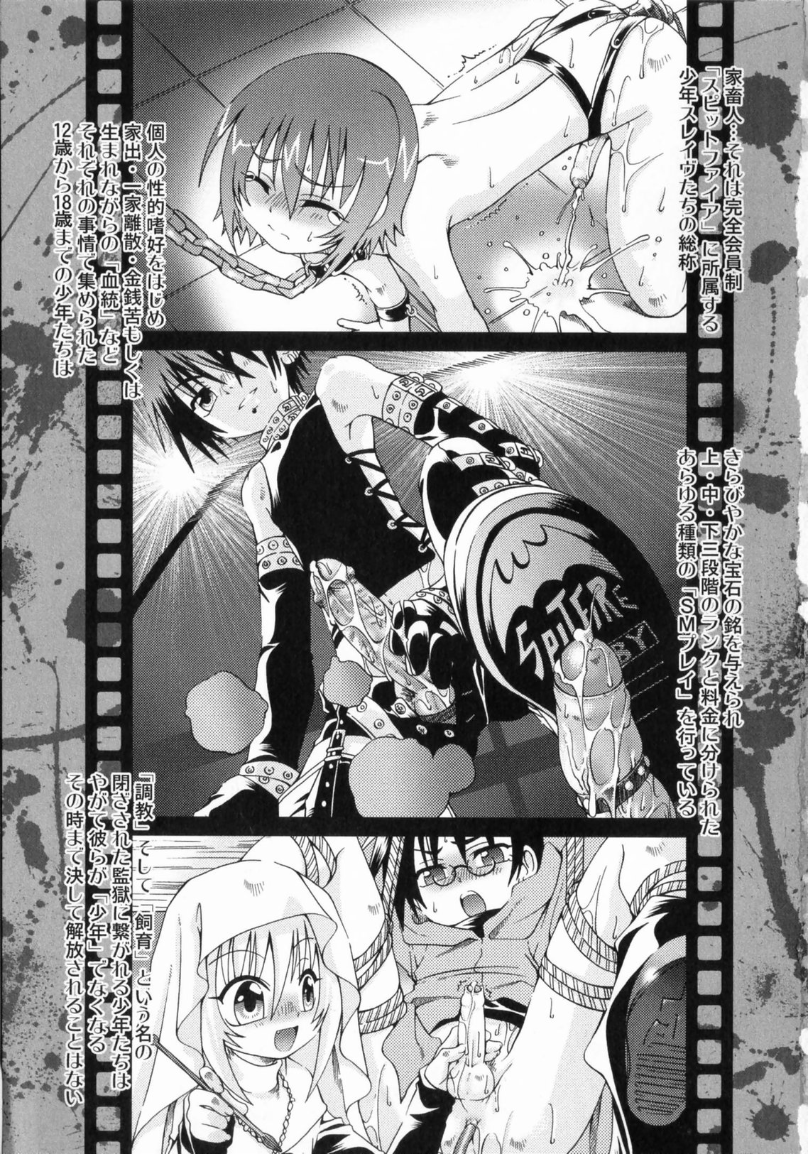 Spitfire Sireline - Page 6