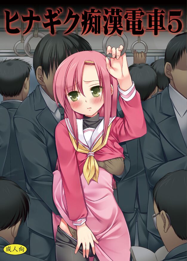 Hinagiku Chikan Densha 5 - Page 1
