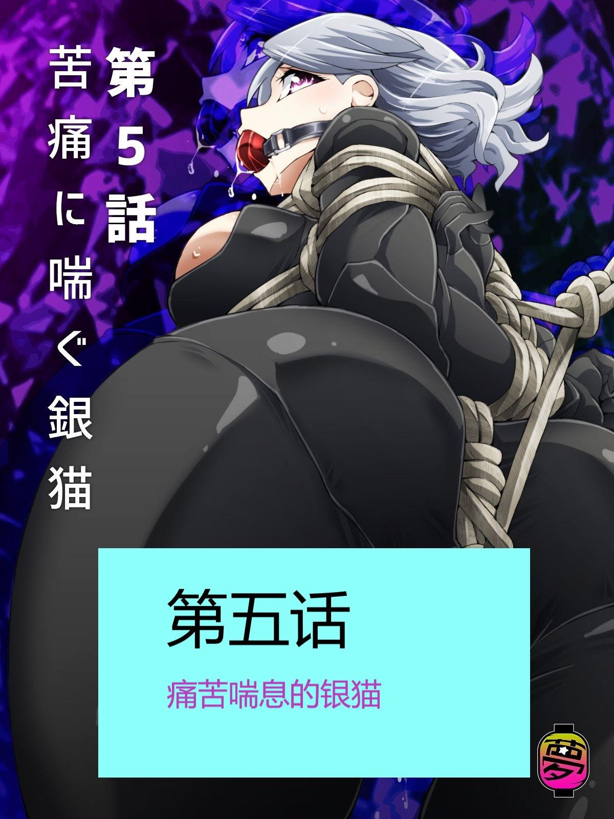怪盗シルバーキャット漫画版 全話【中国翻訳】 - Page 95