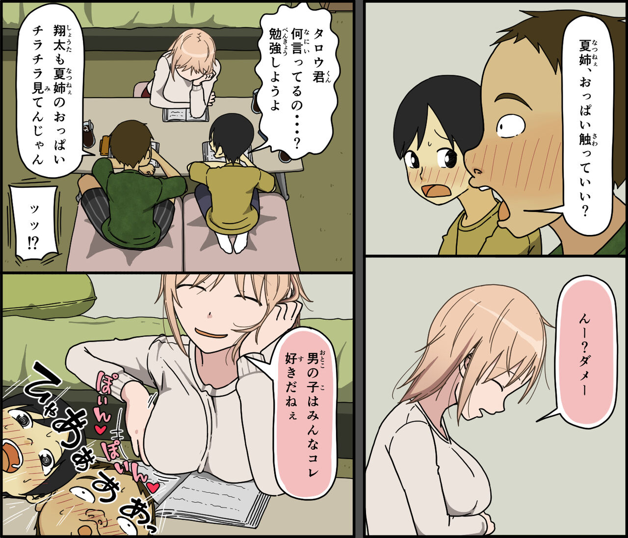 Boku wa Natsuki o nēchan to sekkusu dekinai - Page 3