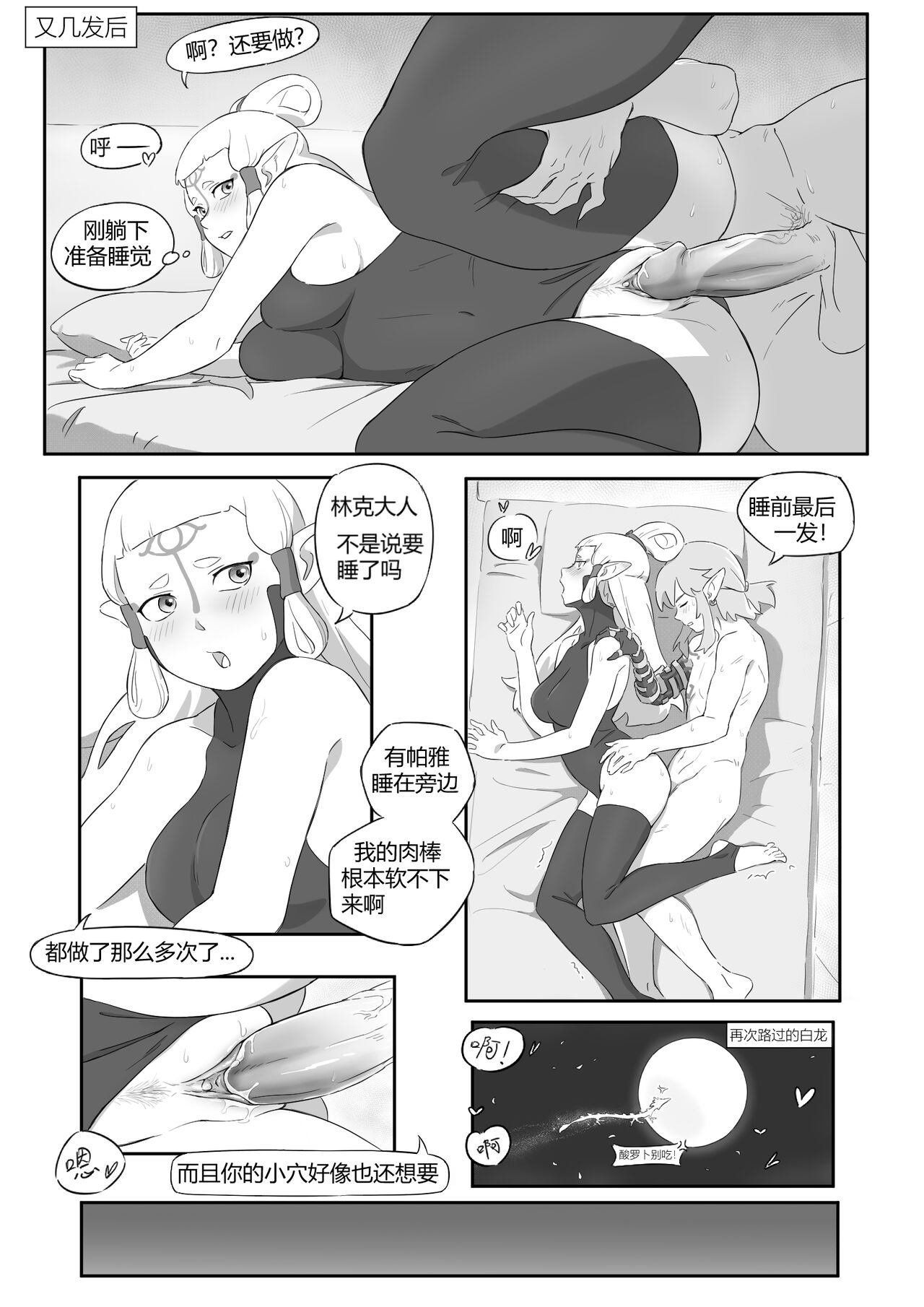 海拉鲁欲望传说 - Page 21