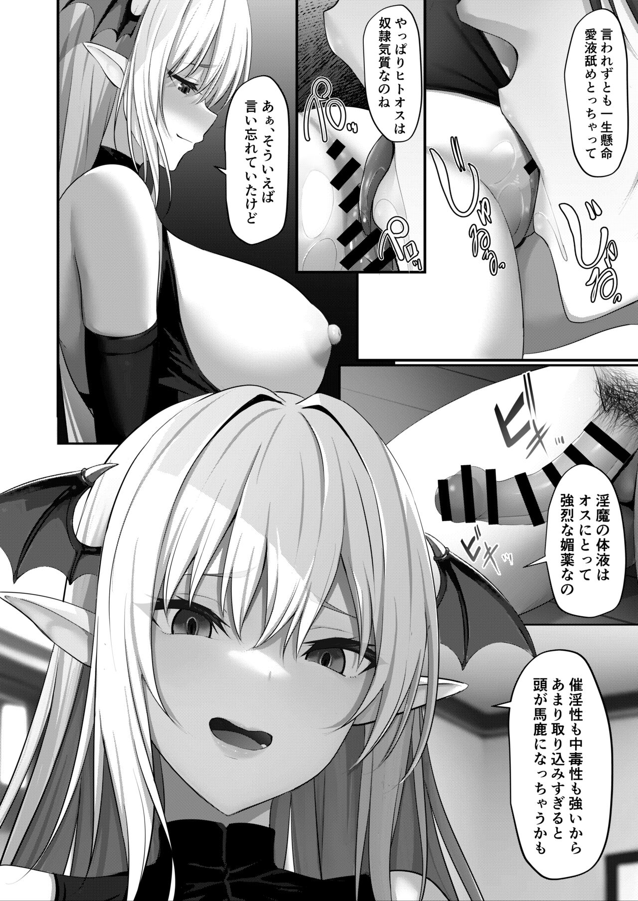 Succubus no Pet ni Naru!? - Page 12