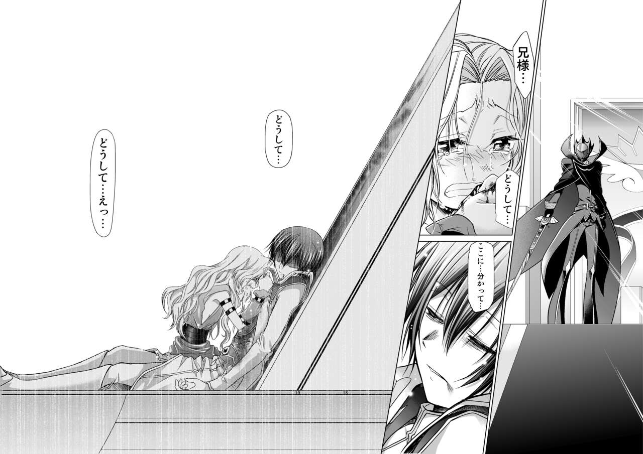 CODE EROSS R2 San - Page 17