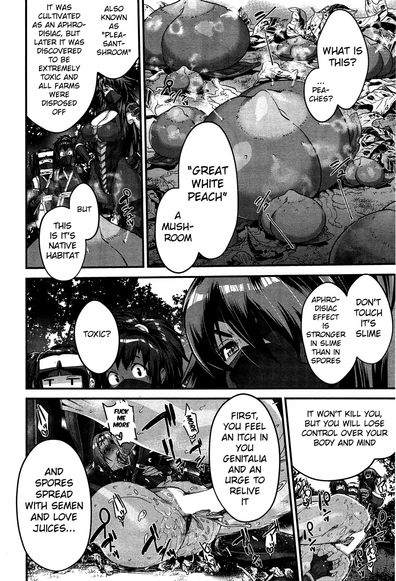 Shinobi no Bi - Page 74
