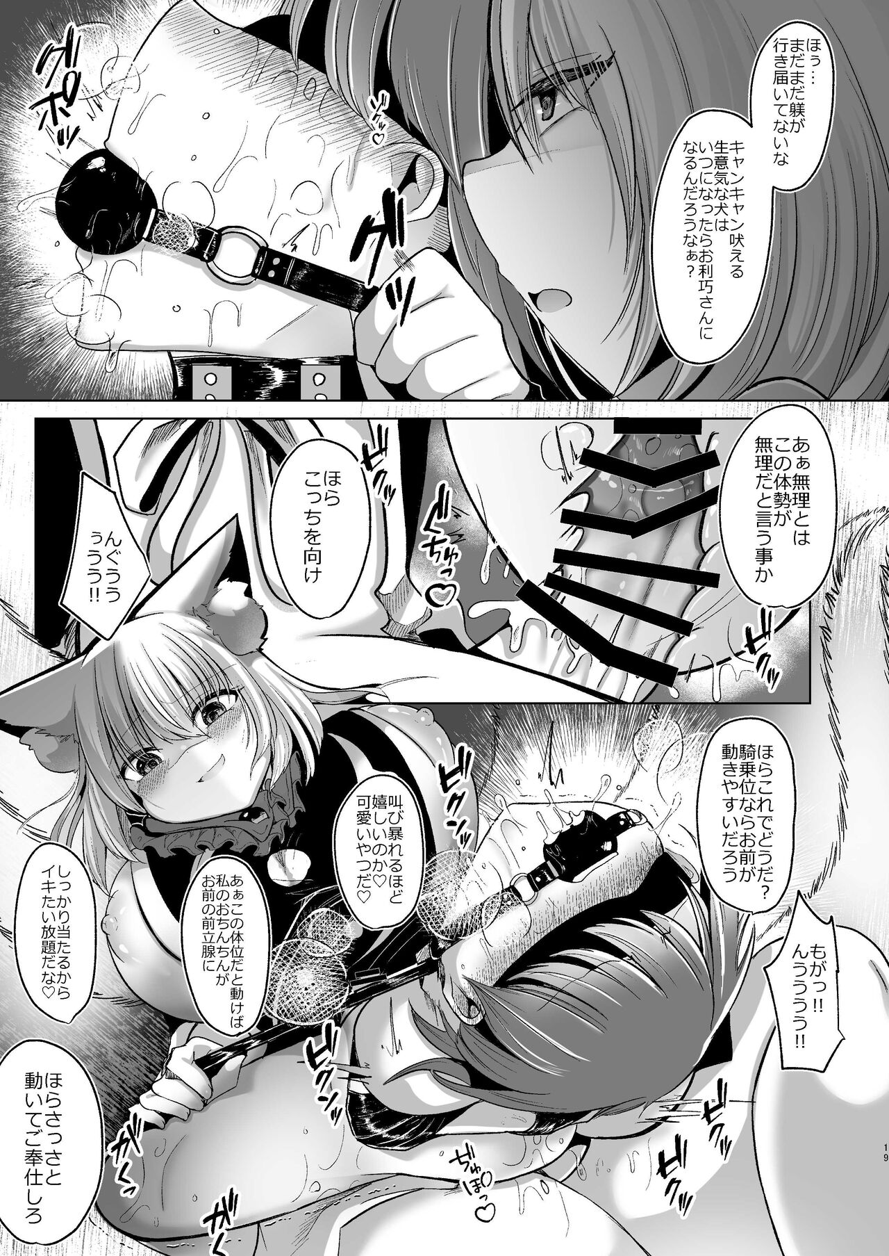 八雲藍が性処理ペットと戯れる本 - Page 19