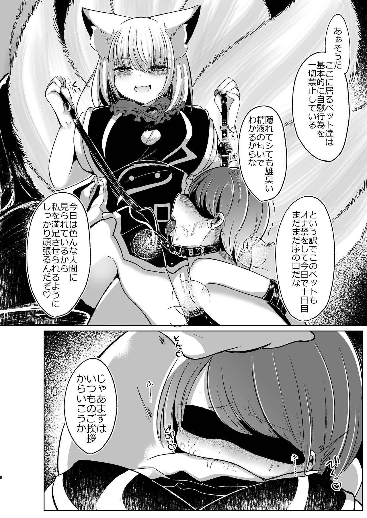 八雲藍が性処理ペットと戯れる本 - Page 6