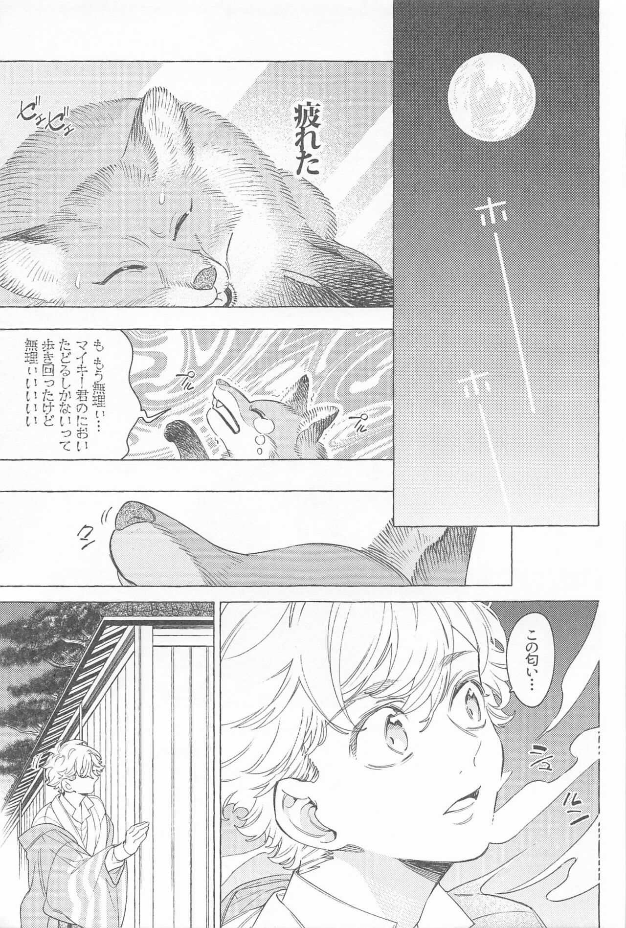 Mayoiga no Kitsune to Marebito - Page 20