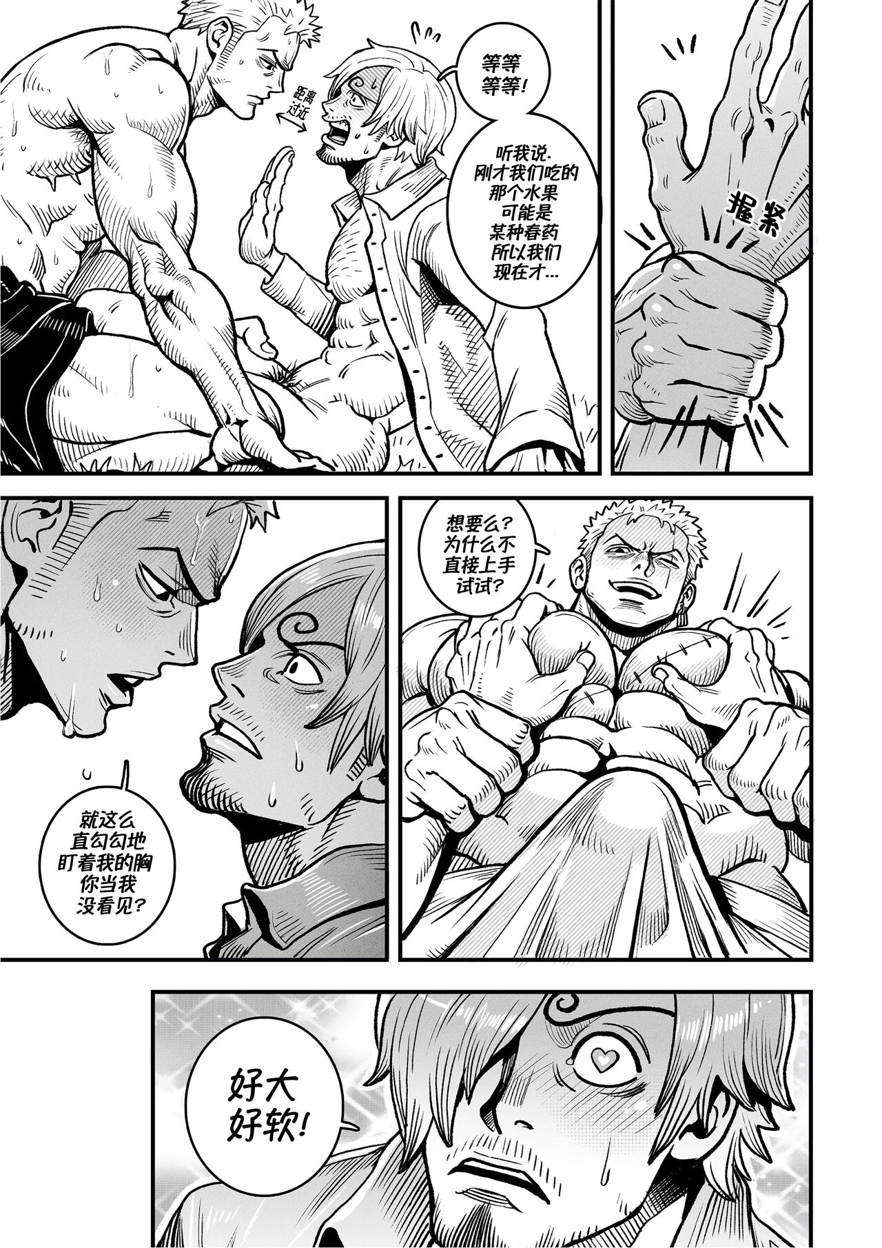 [Redgart]Passion Fruit(ONE PIECE) | 情热果实(海贼王 同人) [Chinese] [马栏山汉化组&桃紫の汉化] - Page 16