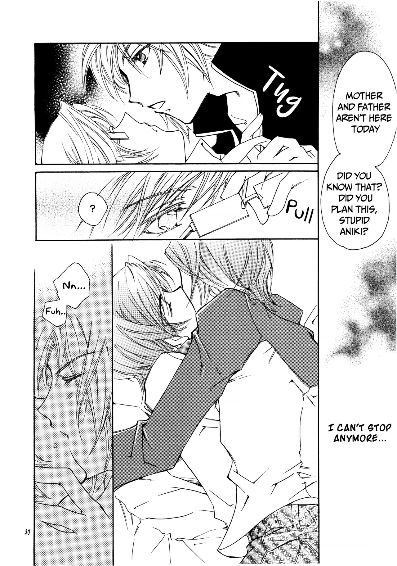 Suou-san no Katei no Jijou II - Page 29