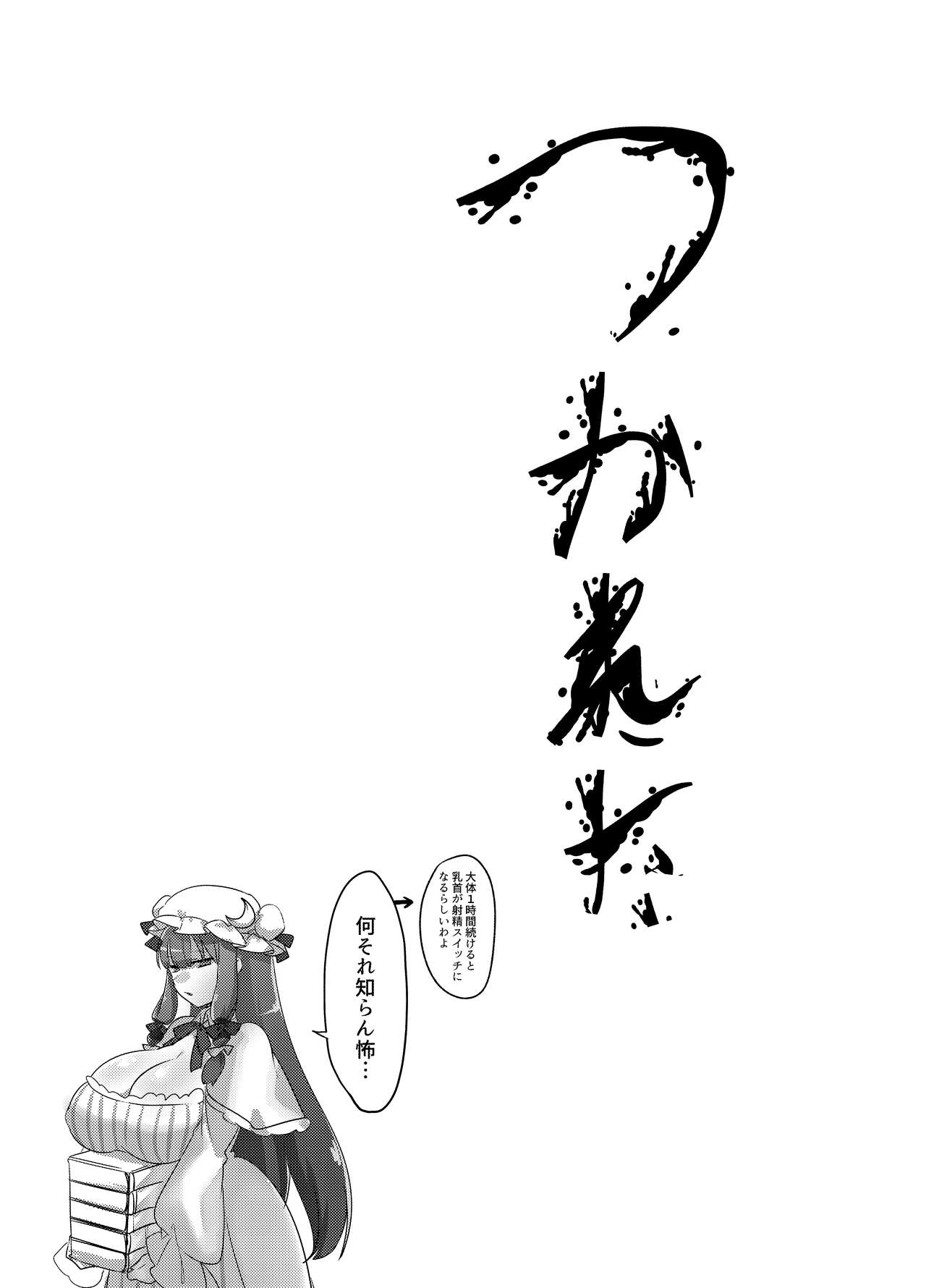 Koumakan shiki Shinjin Kyouiku - Page 33