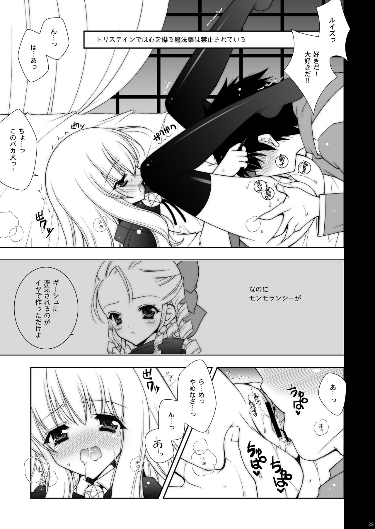 Zero no Tsukaima Soushuuhen - Page 29