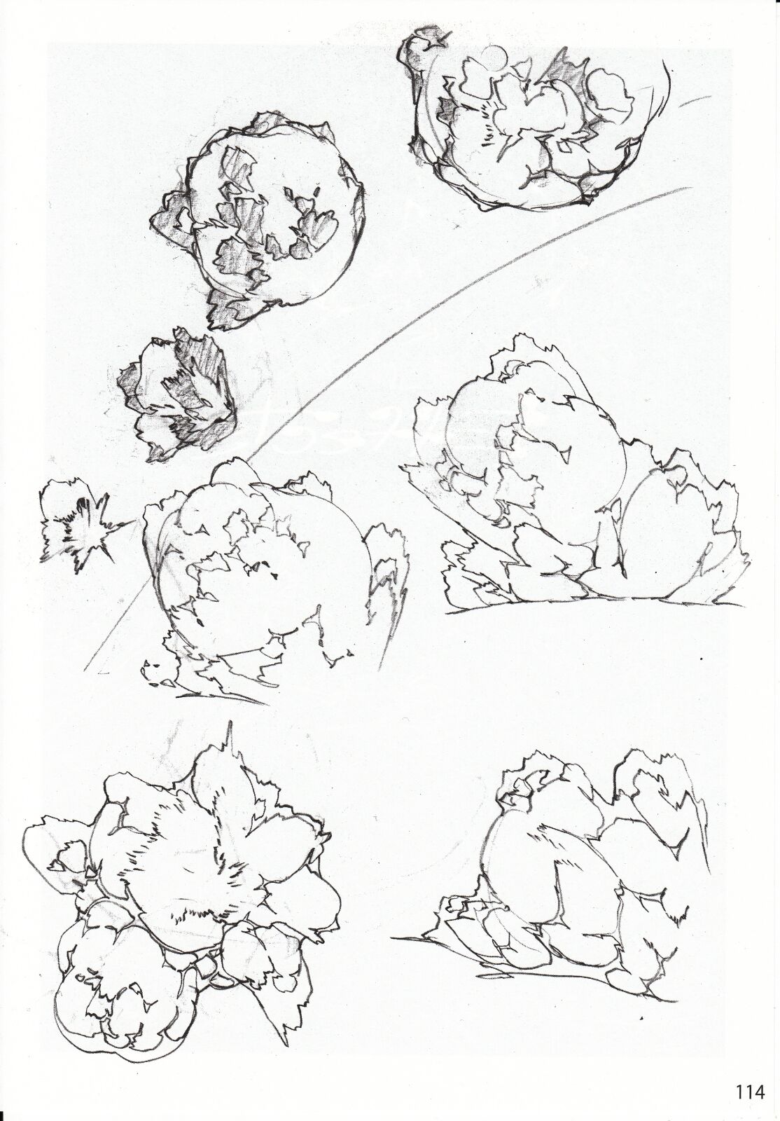 DEAD WOOD DESIGNS - Page 221