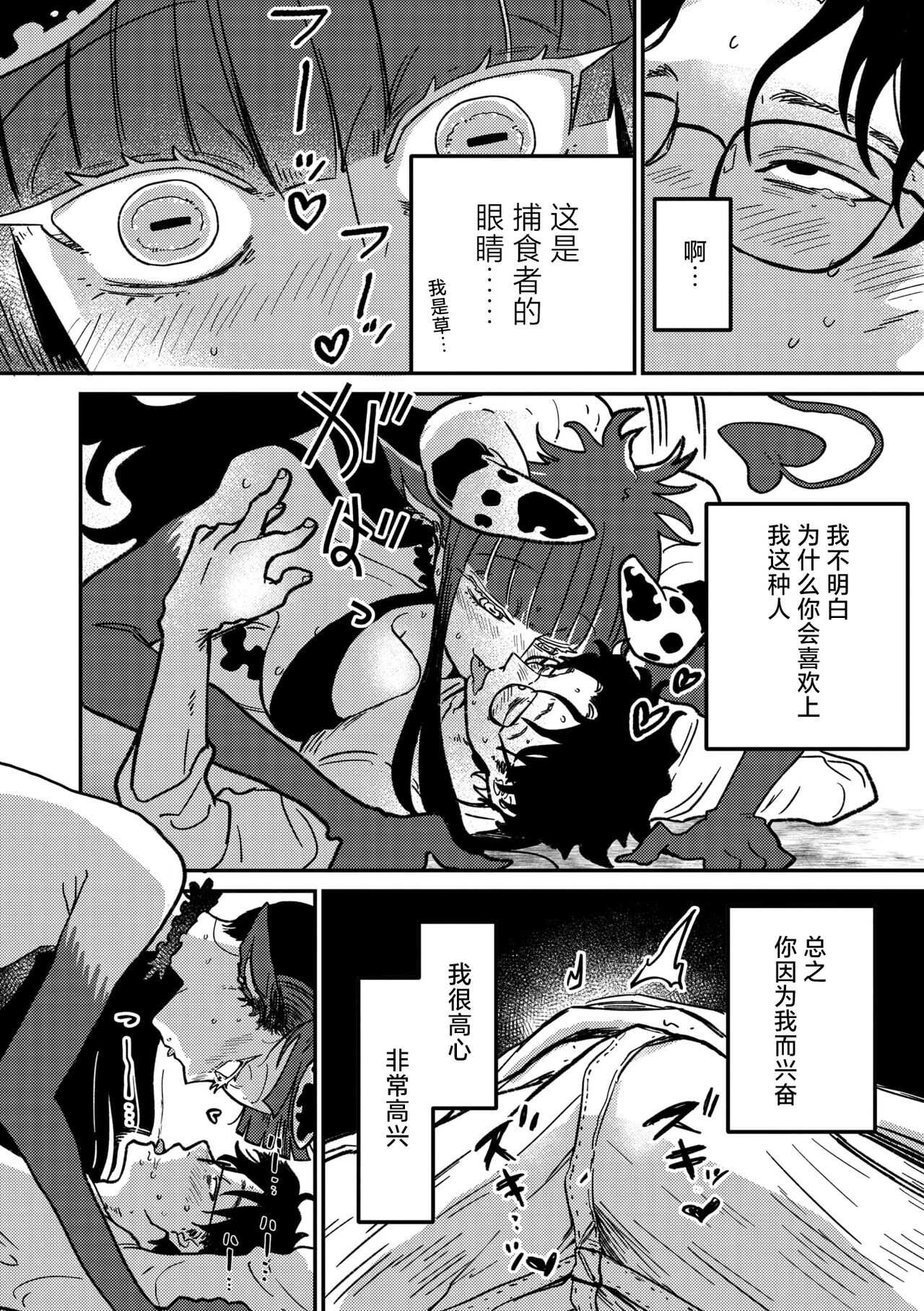 Rendezvous Pitch Maneuver - Page 11