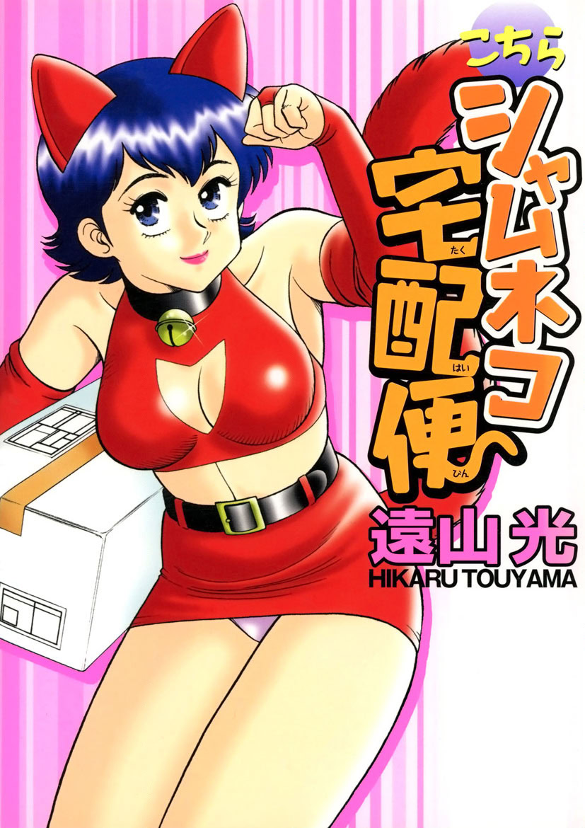 Shamese's Delivery Service - Page 1