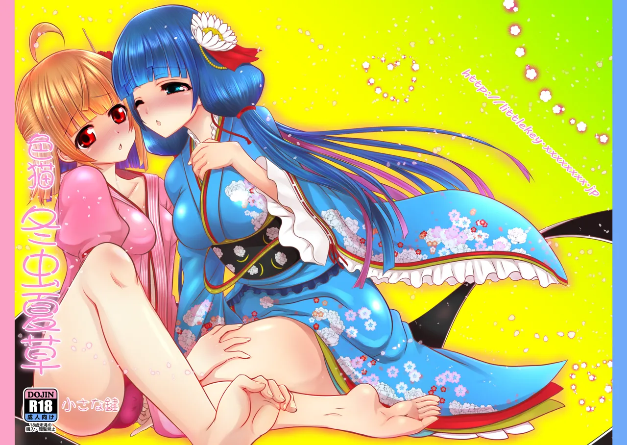 Ironeko Touchukasou page 19 shironeko project parody - futanari full censorship hentai manga - read online free