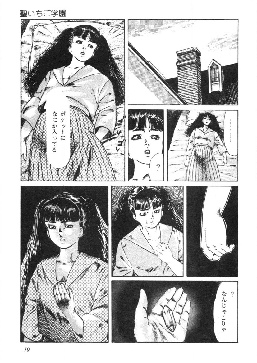 Sei Ichigo Gakuen page 20 - story arc tankoubon hentai manga - read online free