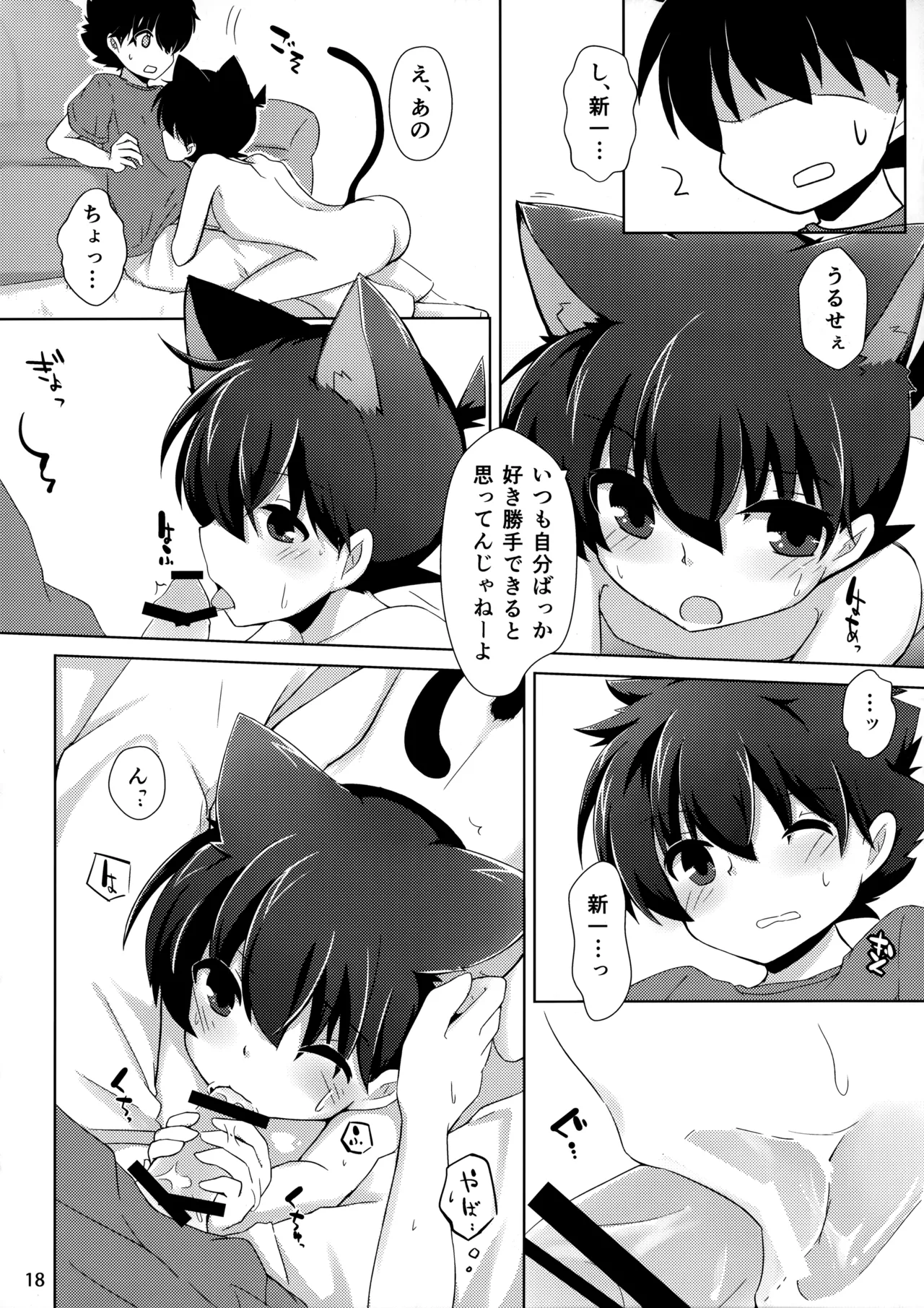 cat fancier - Page 17
