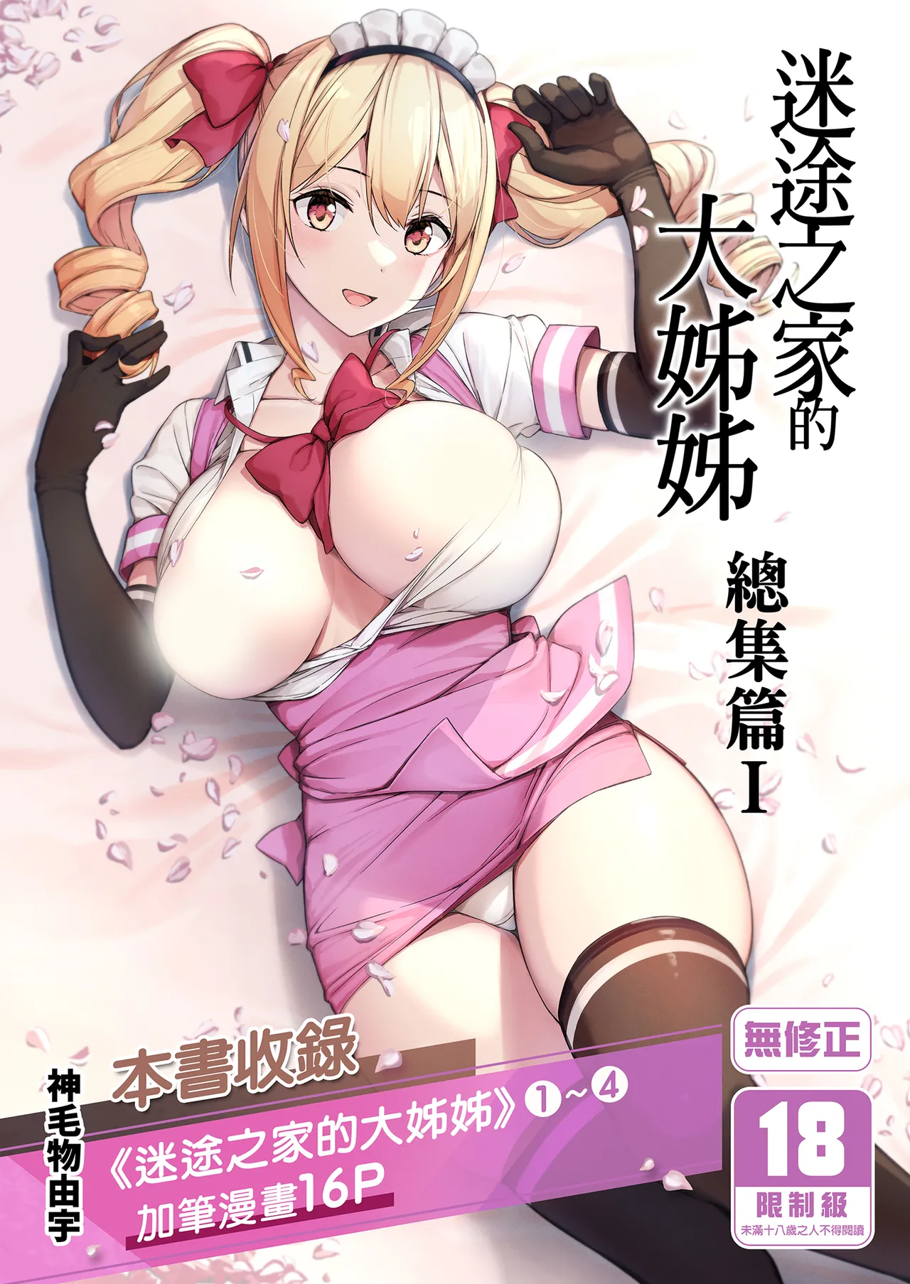 Mayoiga no Onee-san Soushuuhen I | 迷途之家的大姊姊 總集篇 I - Page 2