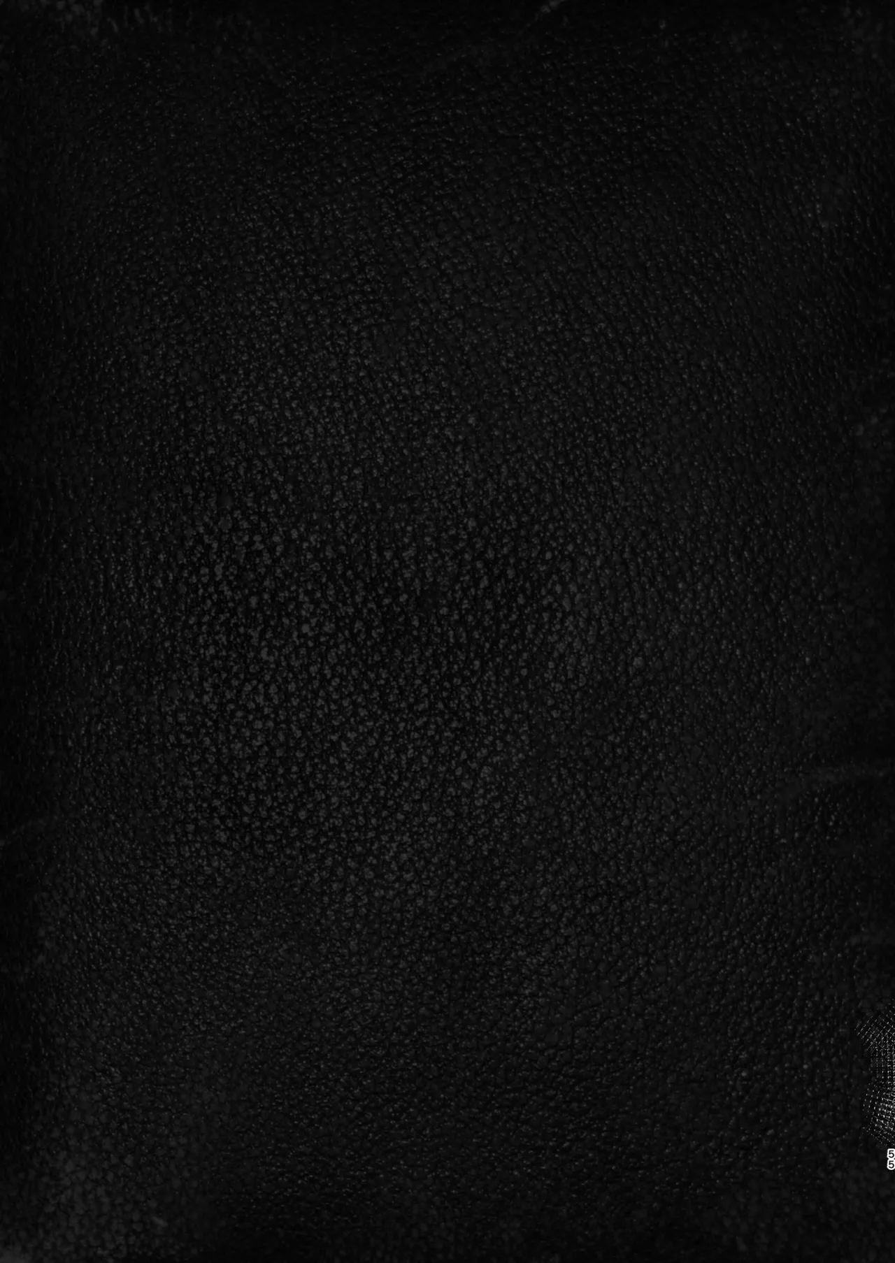 Isekai Harem Monogatari Soushuuhen 2 page 225 original parody - elf big breasts hentai manga - read online free