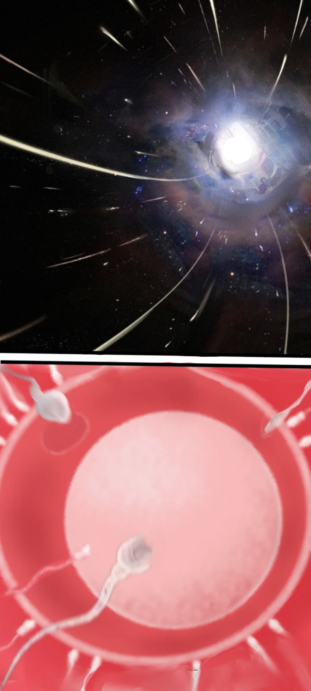 作业帮·《Not yet dawn》（明日方舟英语同人H·LC整合汉化组代发） page 29 arknights parody - full color hentai manga - read online free