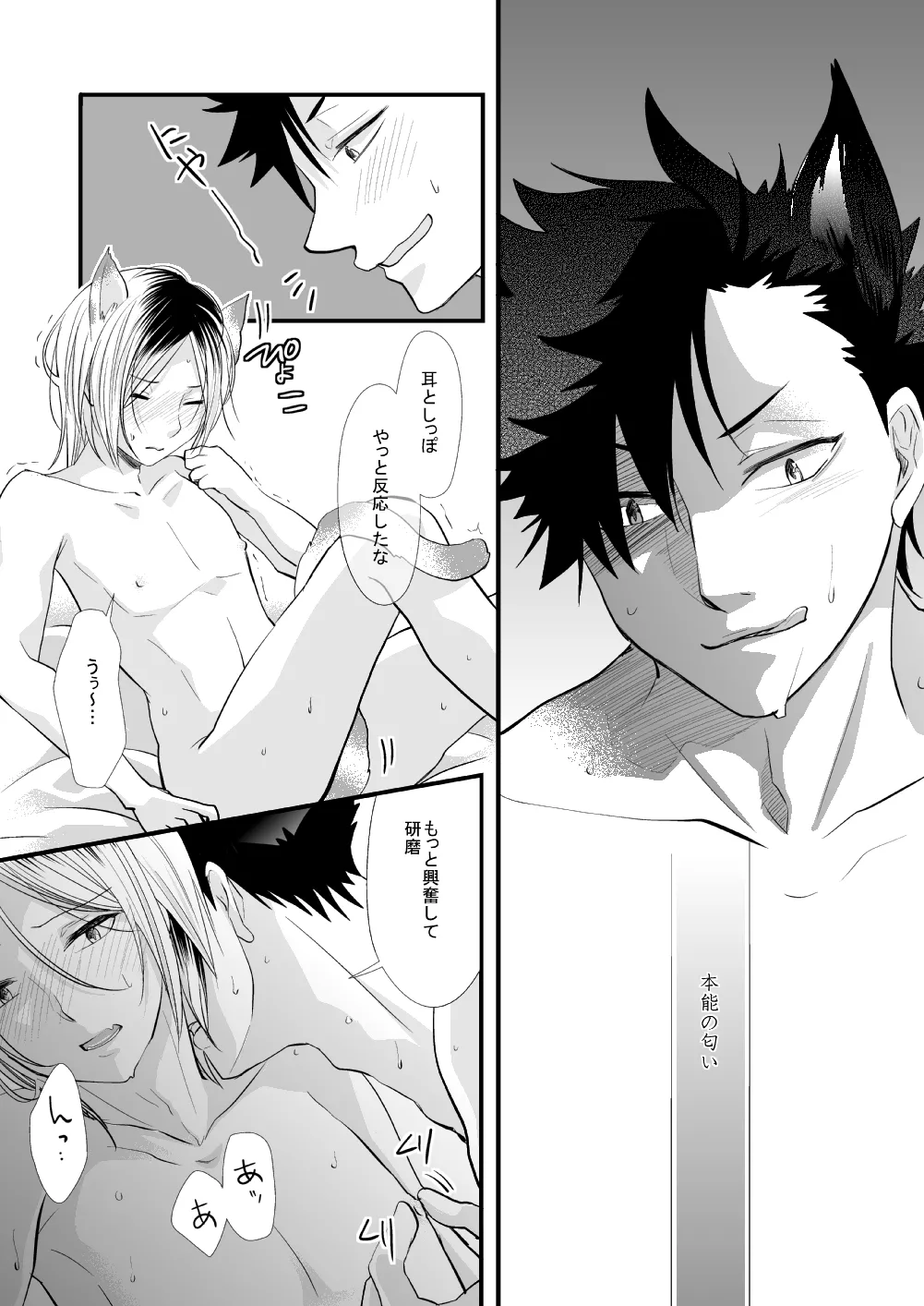 Kuroneko to Mikeneko no Shinkon Seikatsuroku page 18 featuring tetsurou kuroo haikyuu parody - kemonomimi tail hentai manga - read online free